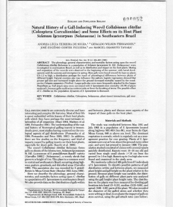Natural History of a Gall-Inducing Weevil Collabismus clitellae
