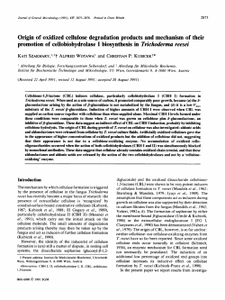 Origin of oxidized cellulose degradation products and