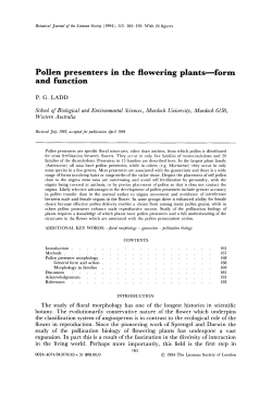 Pollen presenters in the flowering plantsform and