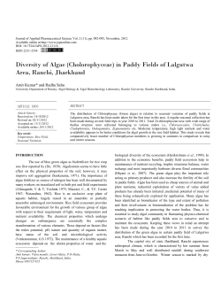 Diversity of Algae (Cholorophyceae) in Paddy Fields of Lalgutwa