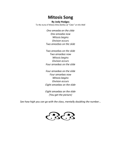 Mitosis Song - Science Wear