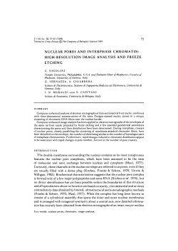 nuclear pores and interphase chromatin: high