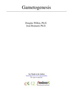 Gametogenesis - cloudfront.net