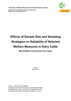 Effects of Sample Size and Sampling Strategies on Reliability of