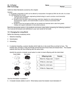 Ch. 13 packet