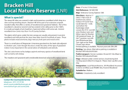 Bracken Hill Local Nature Reserve (LNR)