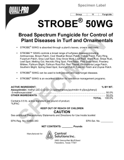 strobe 50wg - Control Solutions Inc.
