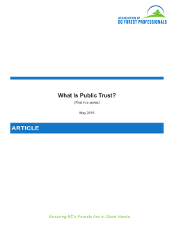 What Is Public Trust?