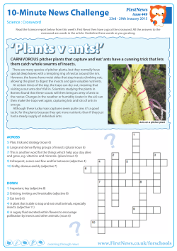 `Plants v ants!` - First News for Schools
