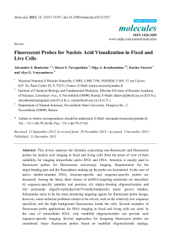 Fluorescent Probes for Nucleic Acid Visualization in Fixed and Live