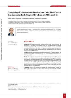 Morphologic Evaluation of the Fertilized and Unfertilized Ostrich Egg