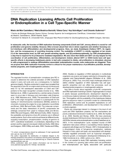 DNA Replication Licensing Affects Cell Proliferation