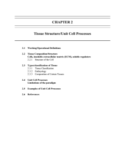 Tissue Structure/Unit Cell Processes