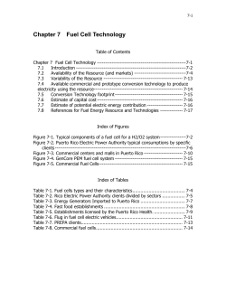 Chapter 7 Fuel Cell Technology