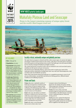 Mahafaly Plateau Land and Seascape