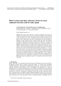 Black Carbon and other refractory forms in recent sediments from