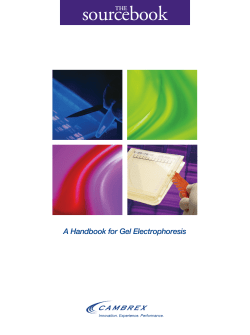 The Source Book from Cambrex