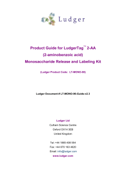 LudgerTag 2-AA Monosaccharide Release and Labeling Kit