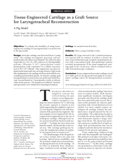 Tissue-Engineered Cartilage as a Graft Source for Laryngotracheal