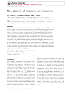 Basic principles of neuromuscular transmission