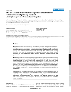 Did an ancient chlamydial endosymbiosis facilitate the