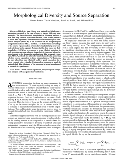Morphological Diversity and Source Separation
