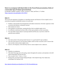 Notes on Slides in Presentation