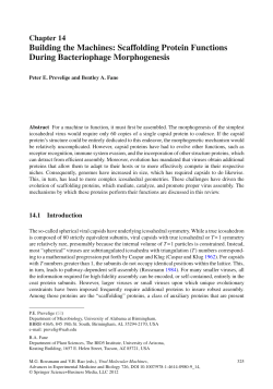 Building the Machines: Scaffolding Protein Functions