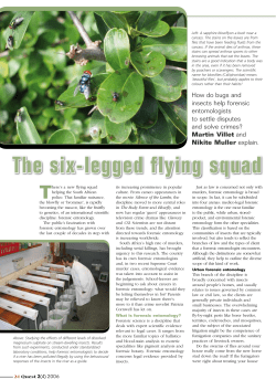 The six-legged flying squad The six-legged flyi The six