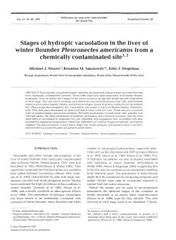 Full text in pdf format