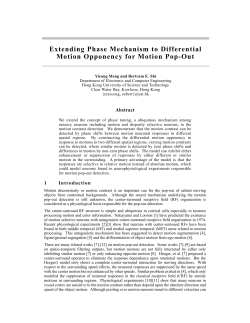 Extending Phase Mechanism to Differential Motion Opponency for