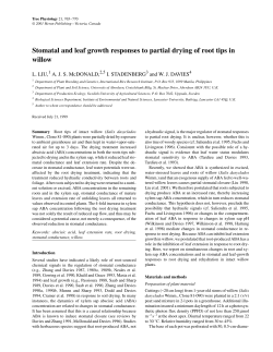 Stomatal and leaf growth responses to partial drying of root tips in