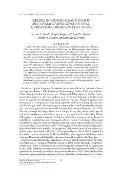 PERIOdIC ENdOLIThIC ALgAL BLOOMS IN MontaStraea faveolata