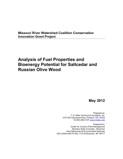 Missouri River Watershed Coalition Fuel Properties of Salt Cedar