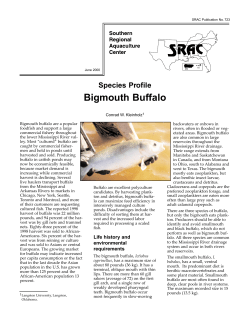 Species Profile Bigmouth Buffalo