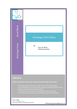 Histology T eam Ren al B lock Histology of the Kidney