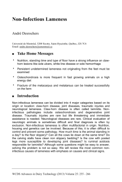 Non-Infectious Lameness