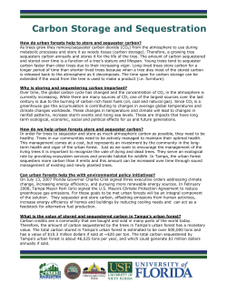 Carbon Storage and Sequestration