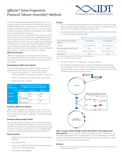gBlocks® Gene Fragments Protocol: Gibson Assembly® Method