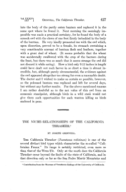the niche-relationships of the california thrasher