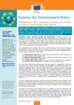 Phosphorus flow severely affected by human activity in three large