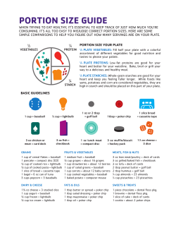 PORTION SIZE GUIDE