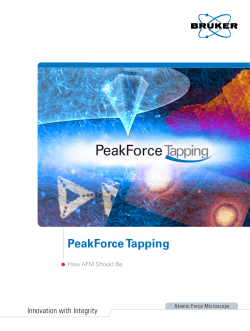 PeakForce Tapping
