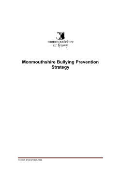 Bullying Prevention Strategy
