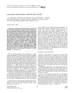 Lysozyme Association with Nucleic Acids