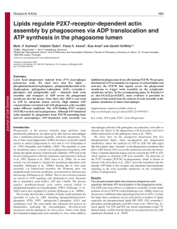 Lipids regulate P2X7-receptor-dependent actin assembly by