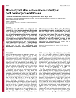 Mesenchymal stem cells reside in virtually all post