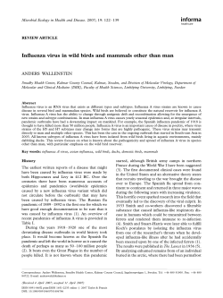 Influenza virus in wild birds and mammals other than man