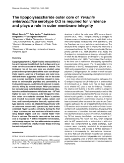 The lipopolysaccharide outer core of Yersinia enterocolitica