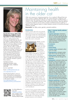 Maintaining health in the older cat